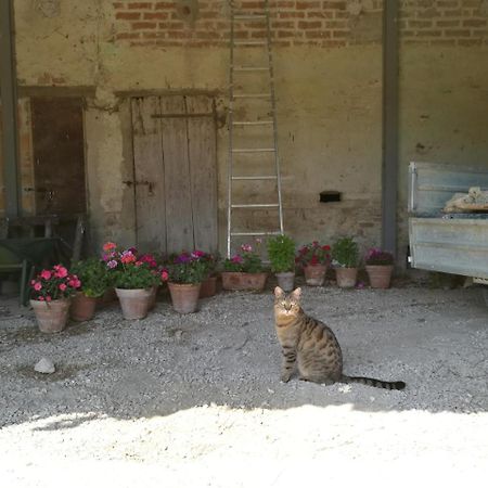 Agriturismo Pian Del Tevere Torgiano Kültér fotó