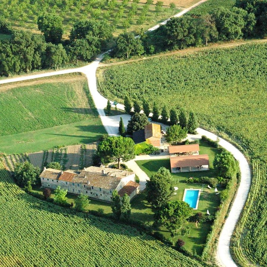Agriturismo Pian Del Tevere Torgiano Kültér fotó